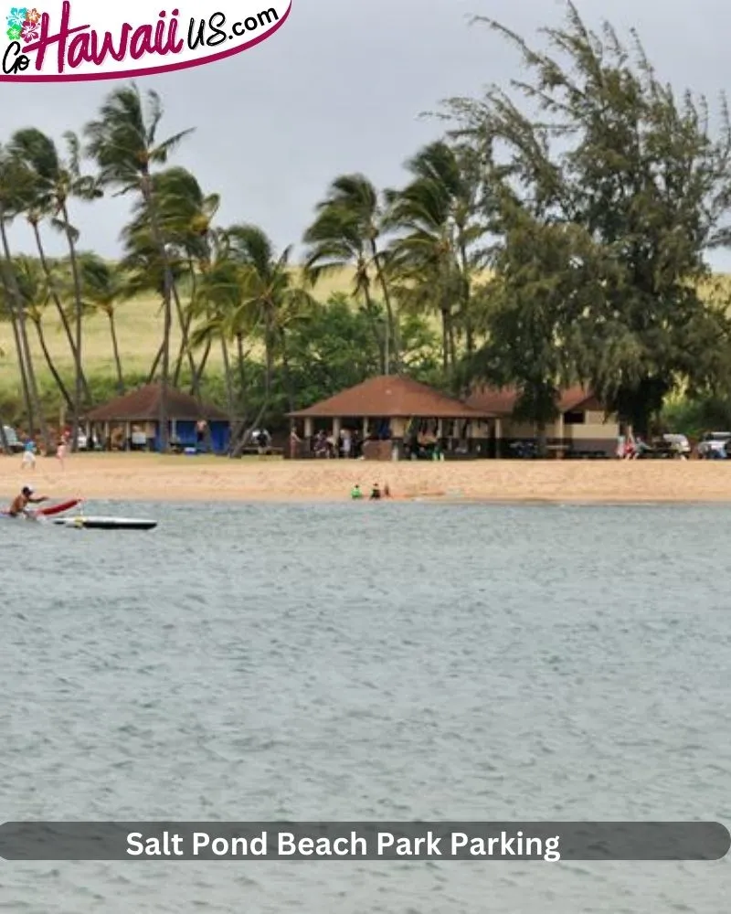 Salt Pond Beach Park Parking