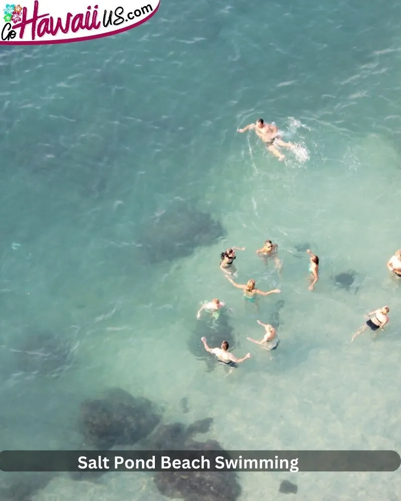 Salt Pond Beach Swimming