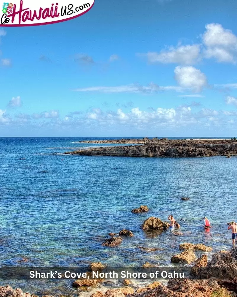 Shark’s Cove, North Shore of Oahu