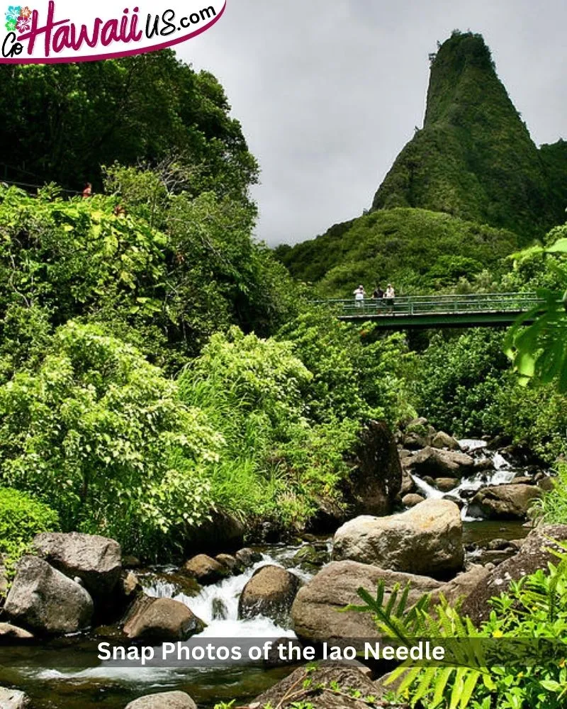 Snap Photos of the Iao Needle