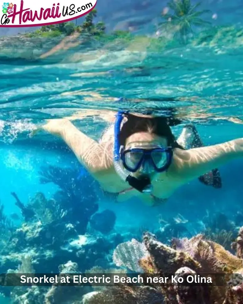 Snorkel at Electric Beach near Ko Olina