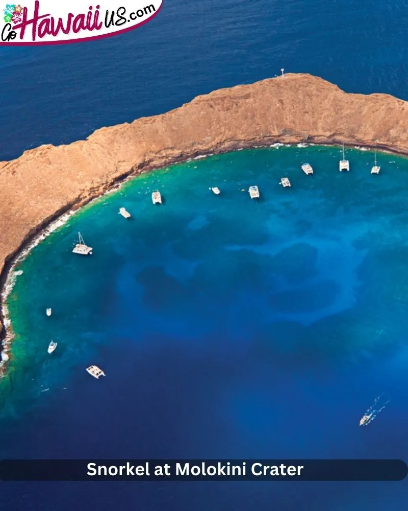 Snorkel at Molokini Crater