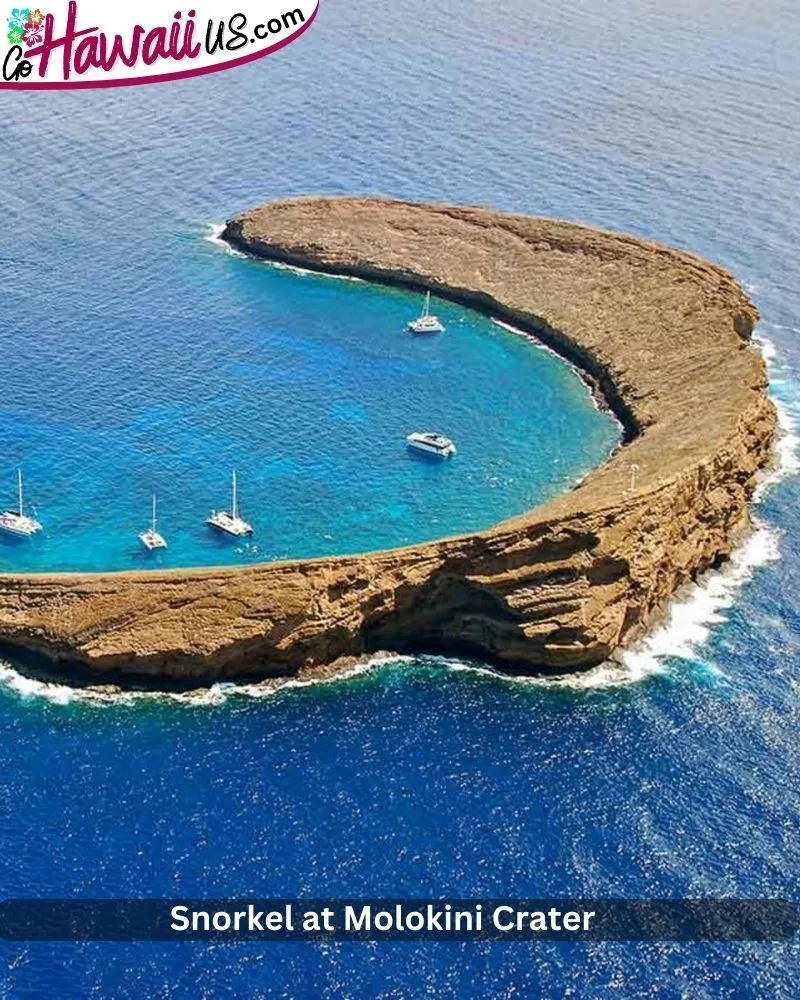 Snorkel at Molokini Crater