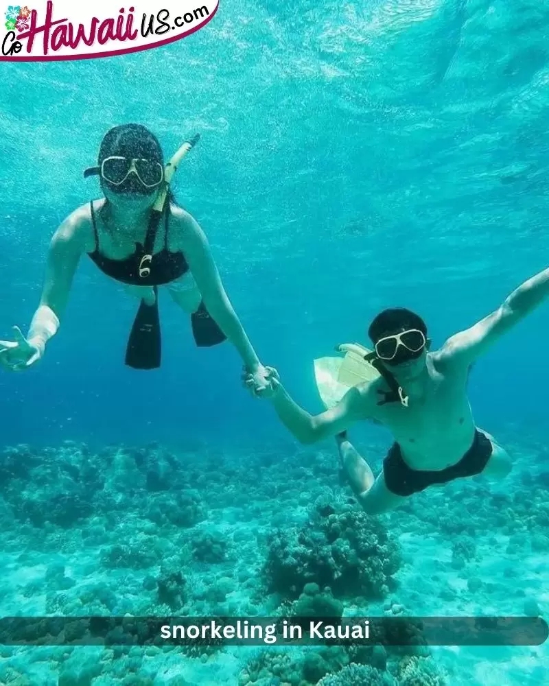  snorkeling in Kauai
