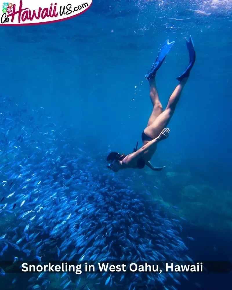  Snorkeling in West Oahu, Hawaii