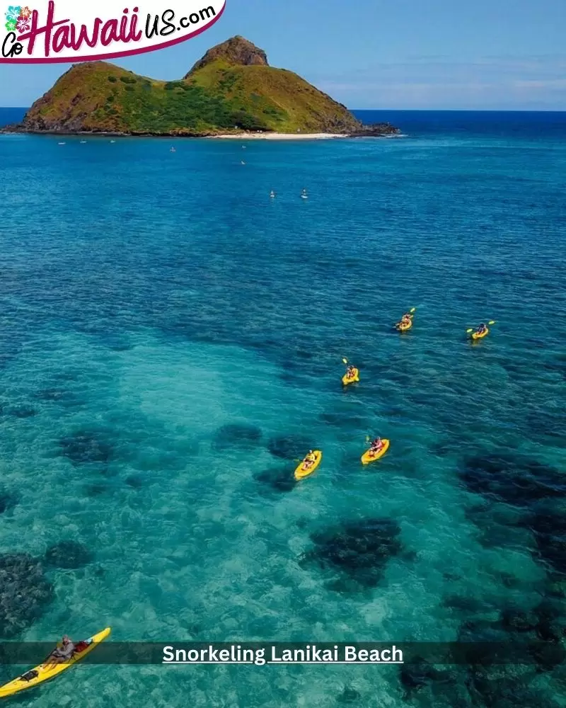 Snorkeling Lanikai Beach