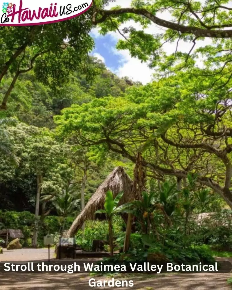 Stroll through Waimea Valley Botanical Gardens