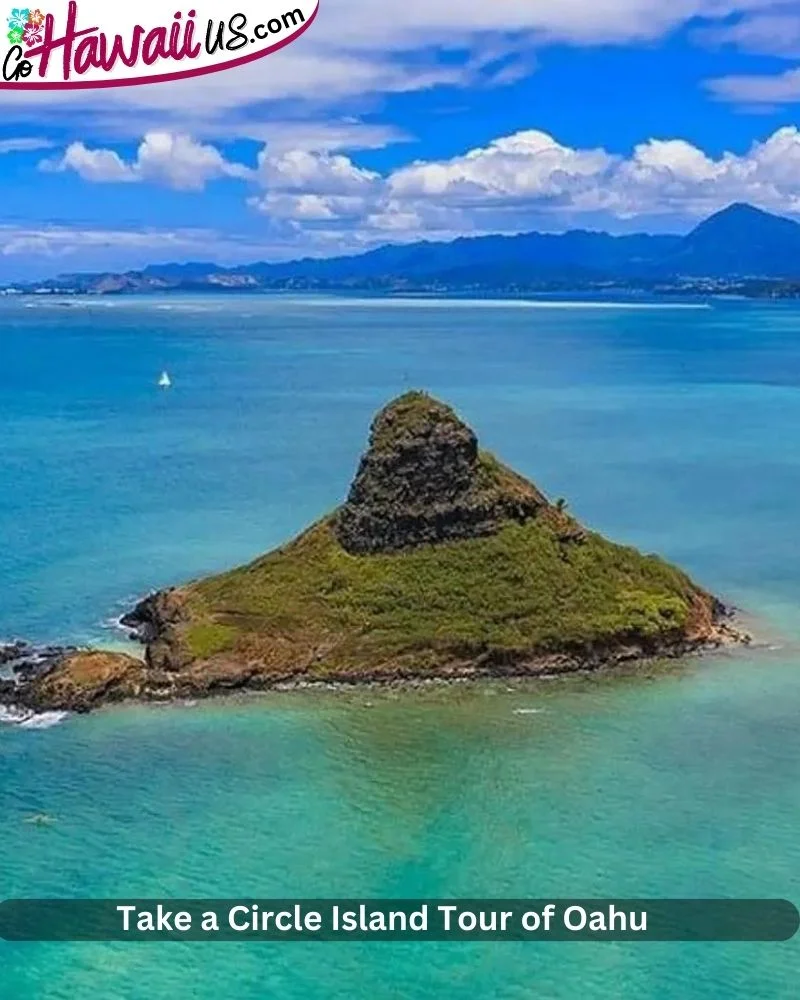 Take a Circle Island Tour of Oahu