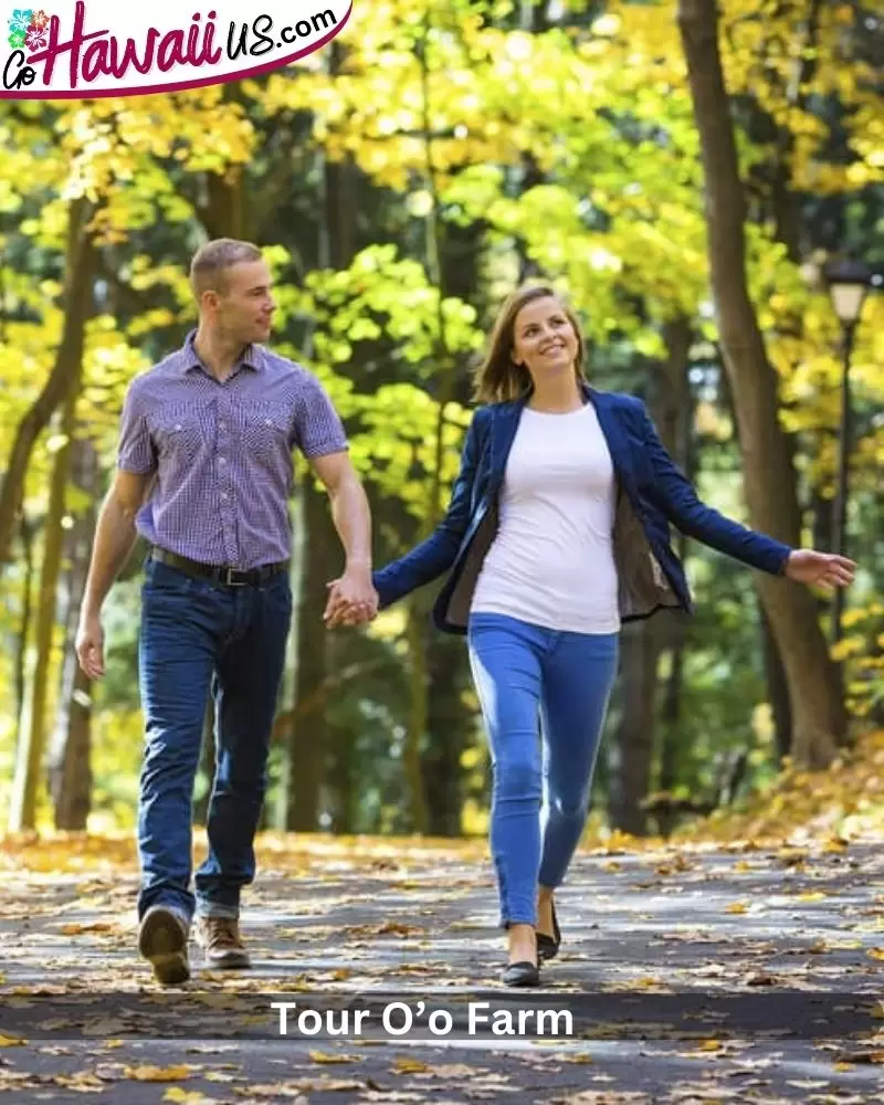 Take a Leisurely Stroll in Makawao