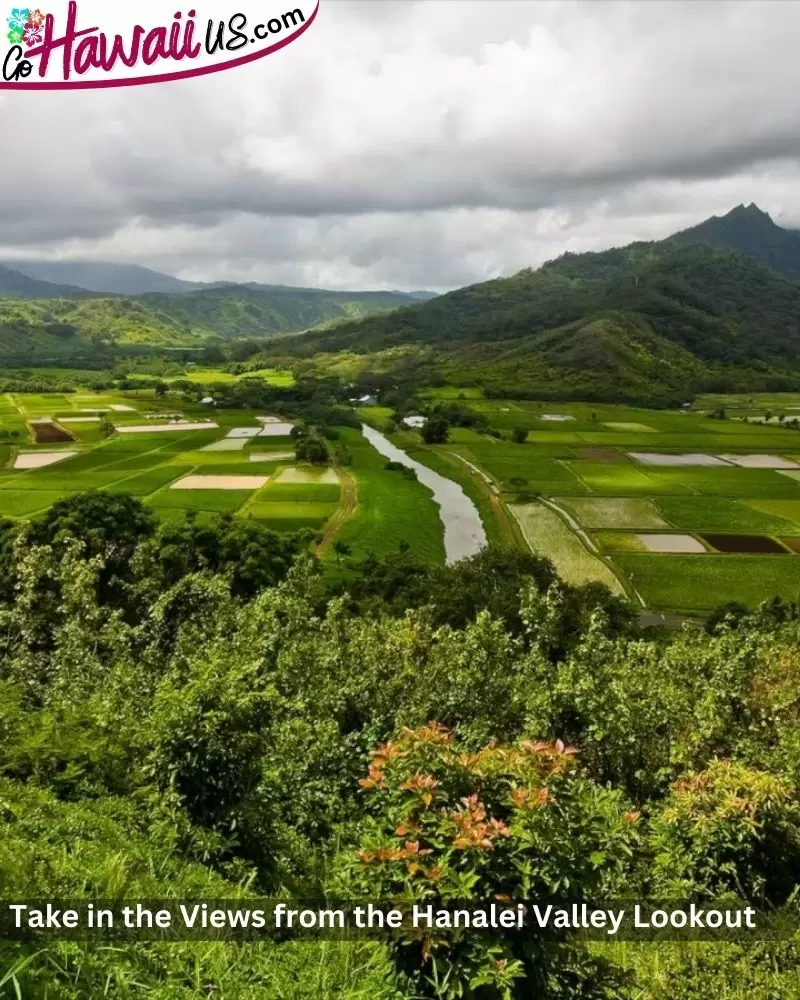 Take in the Views from the Hanalei Valley Lookout