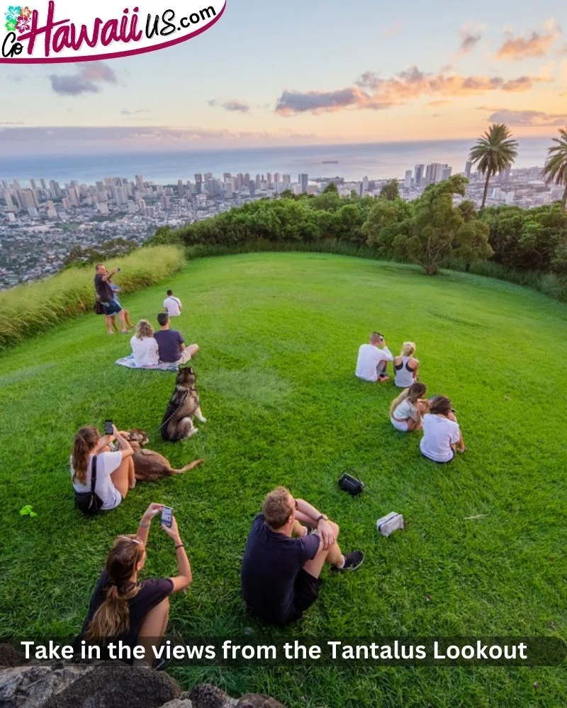  Take in the views from the Tantalus Lookout