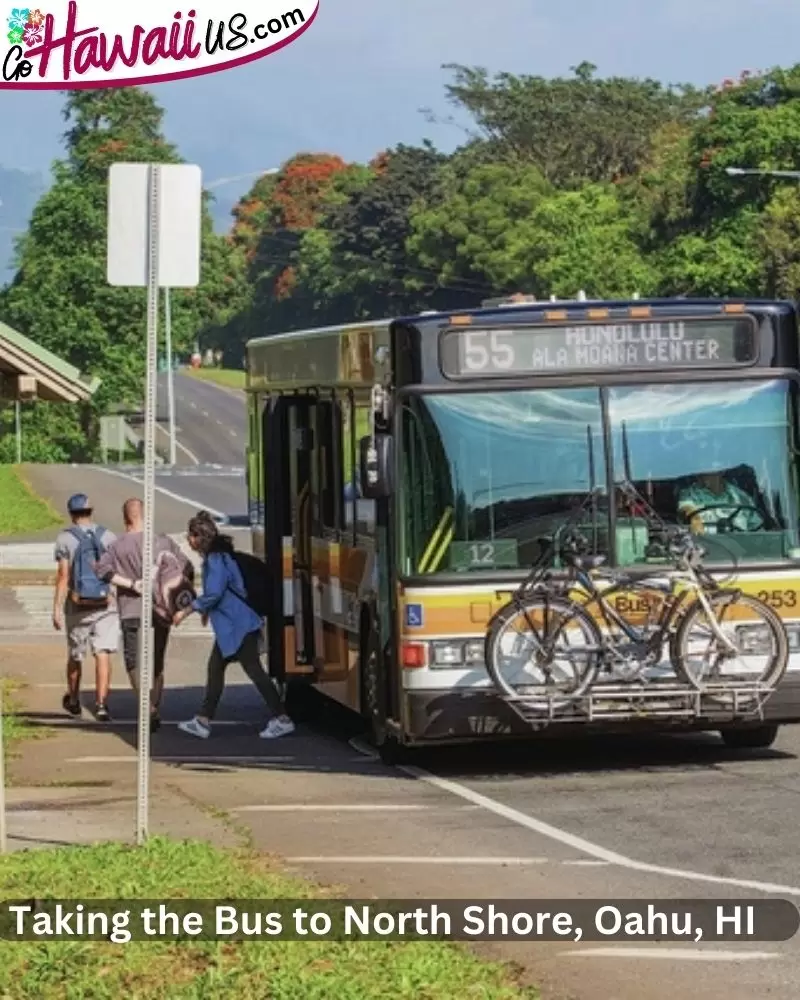 Taking the Bus to North Shore, Oahu, HI