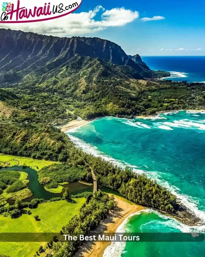 The Best Maui Tours