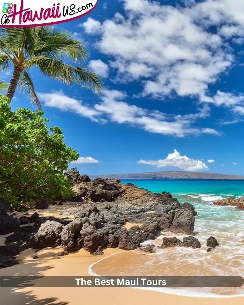 The Best Maui Tours