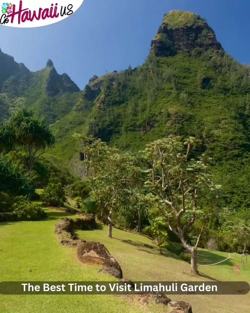 The Best Time to Visit Limahuli Garden