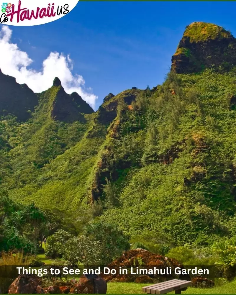 Limahuli Garden in Kauai, Hawaii: The Complete 2024 Guide!