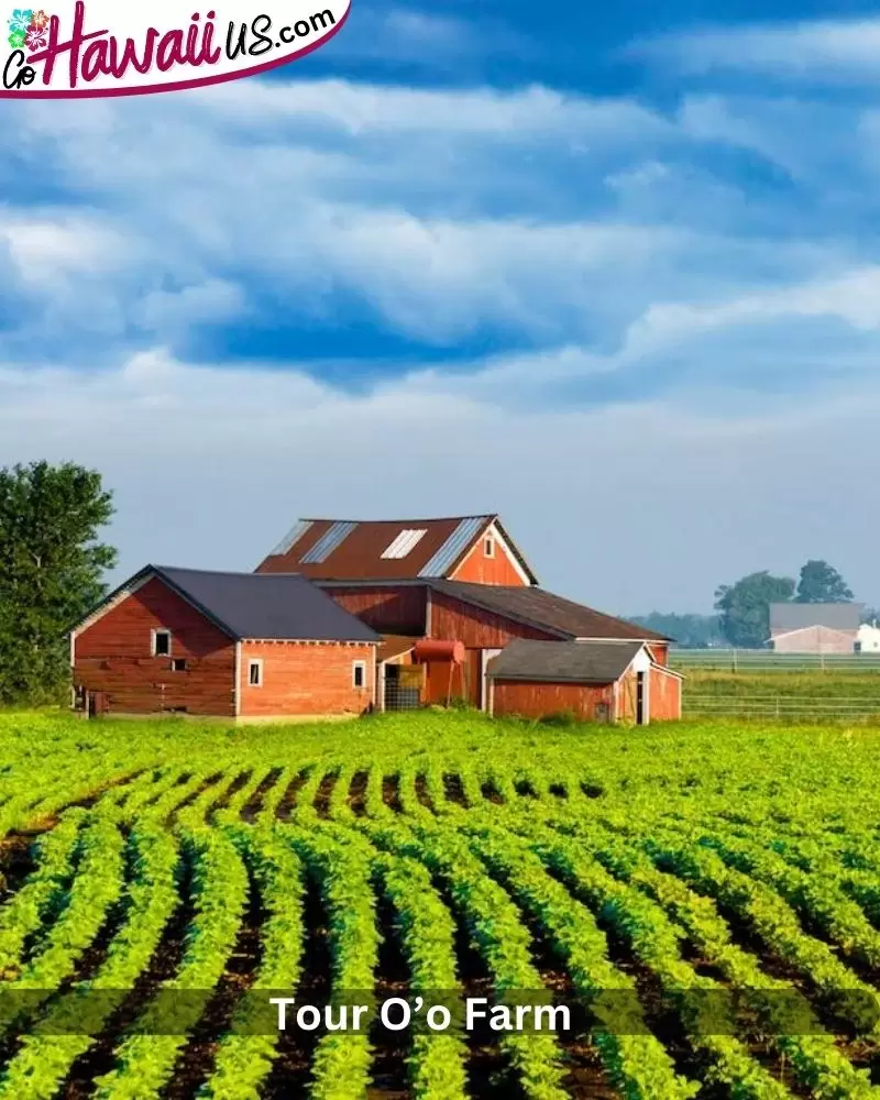 Tour O’o Farm