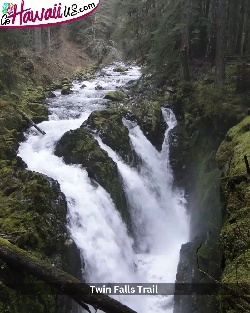 Twin Falls Trail