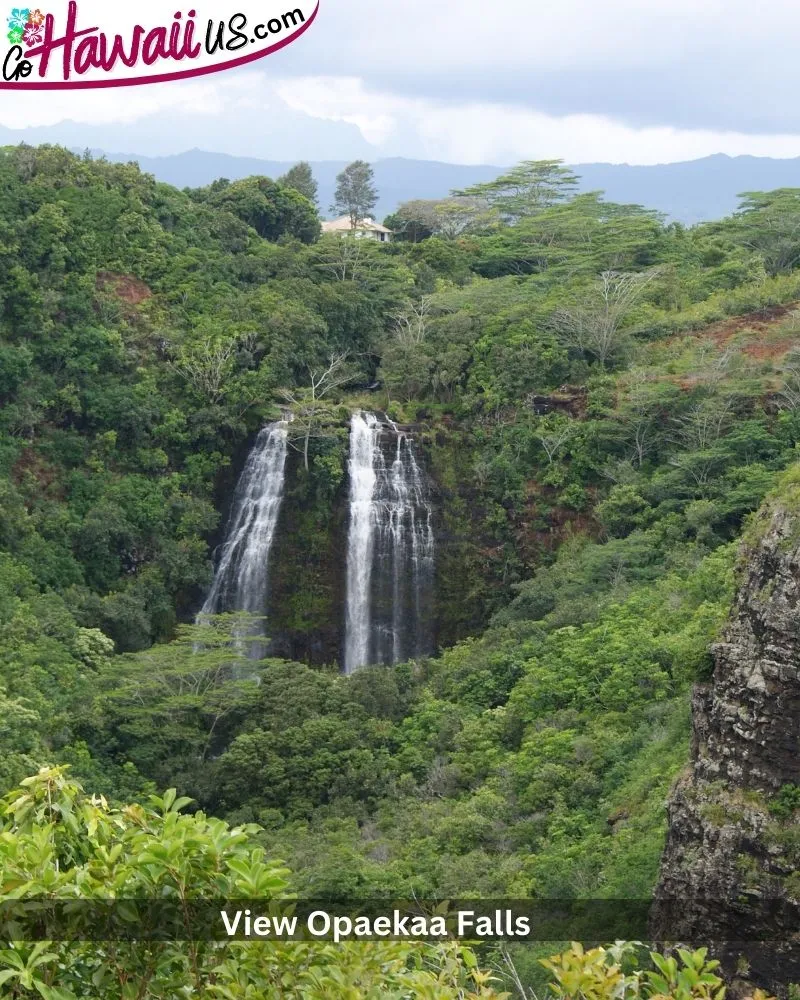 View Opaekaa Falls