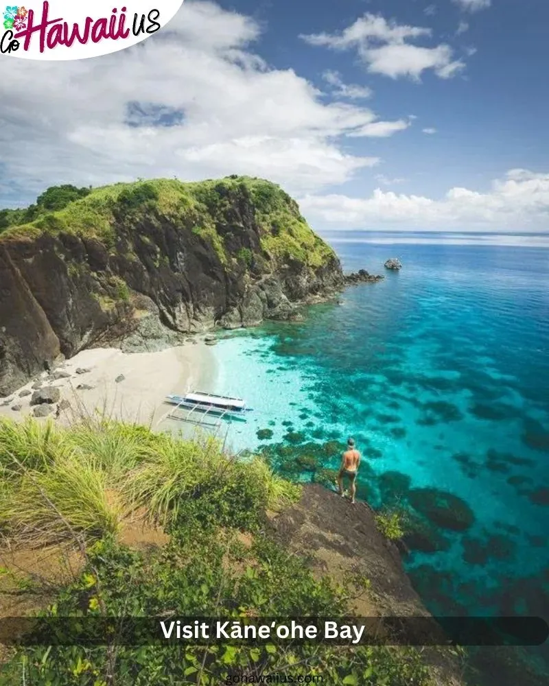 Visit Kāneʻohe Bay