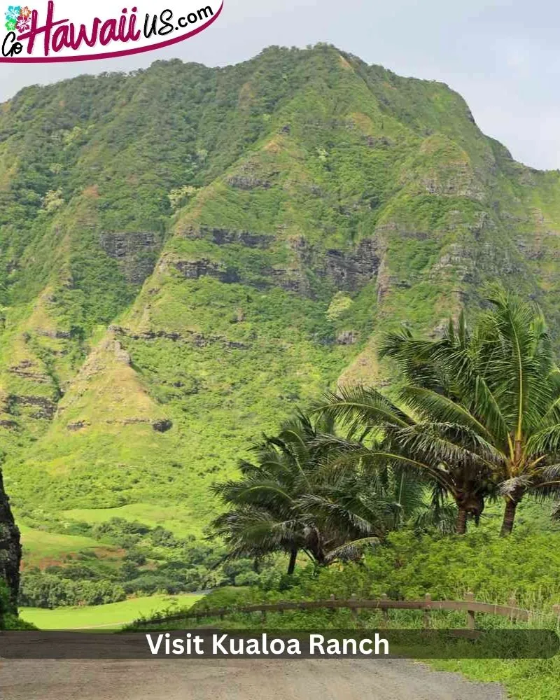 Visit Kualoa Ranch