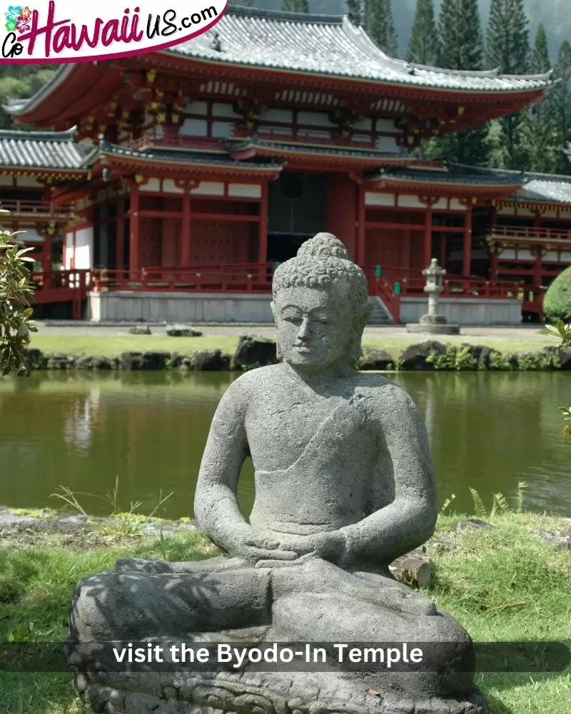 visit the Byodo-In Temple