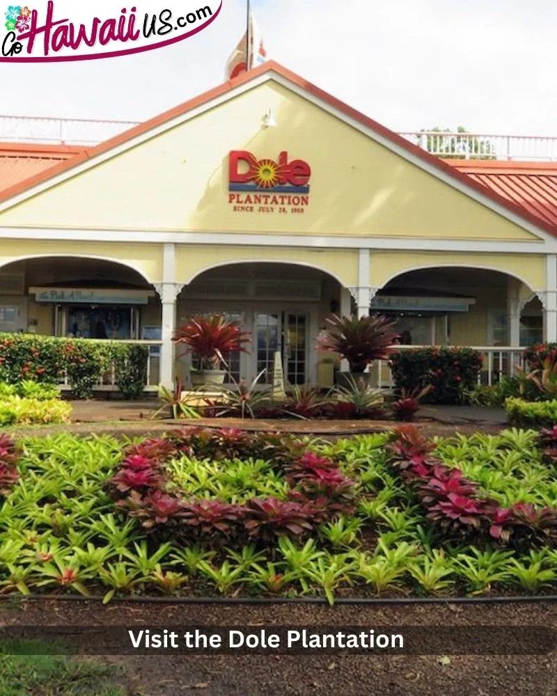 Visit the Dole Plantation