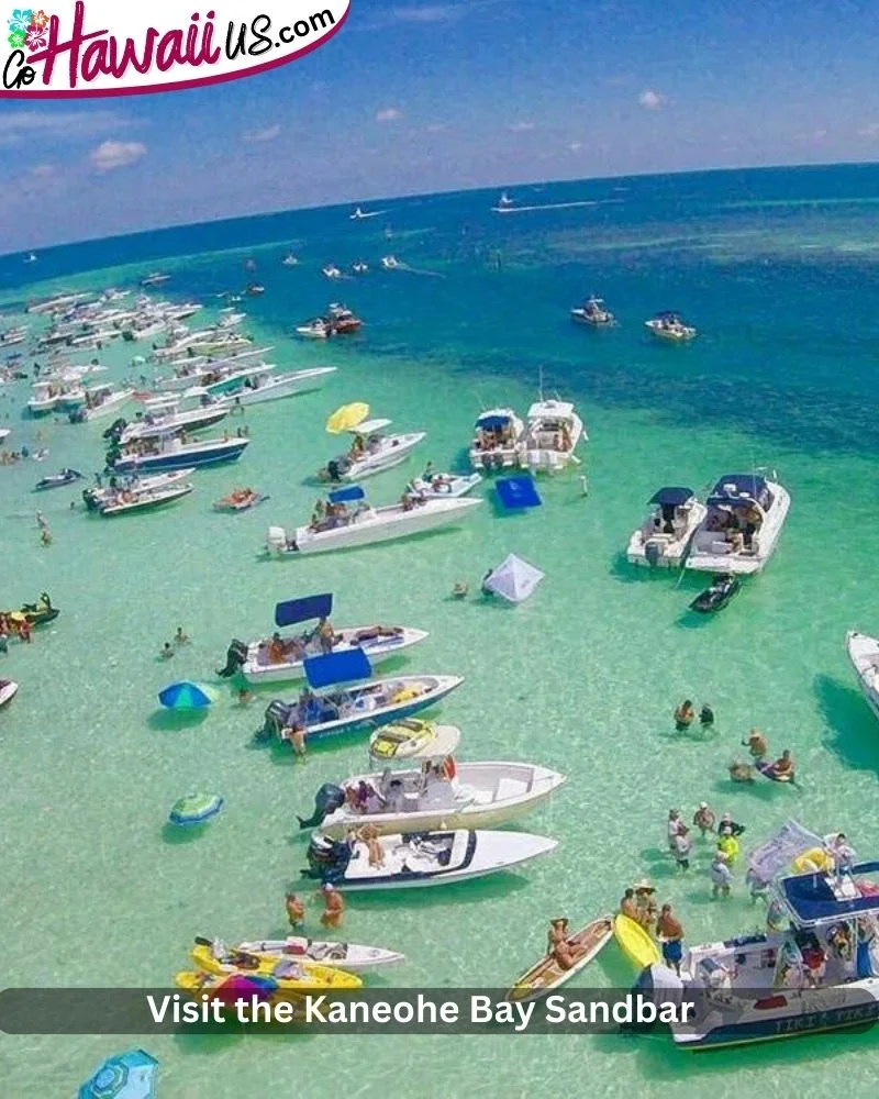 Visit the Kaneohe Bay Sandbar