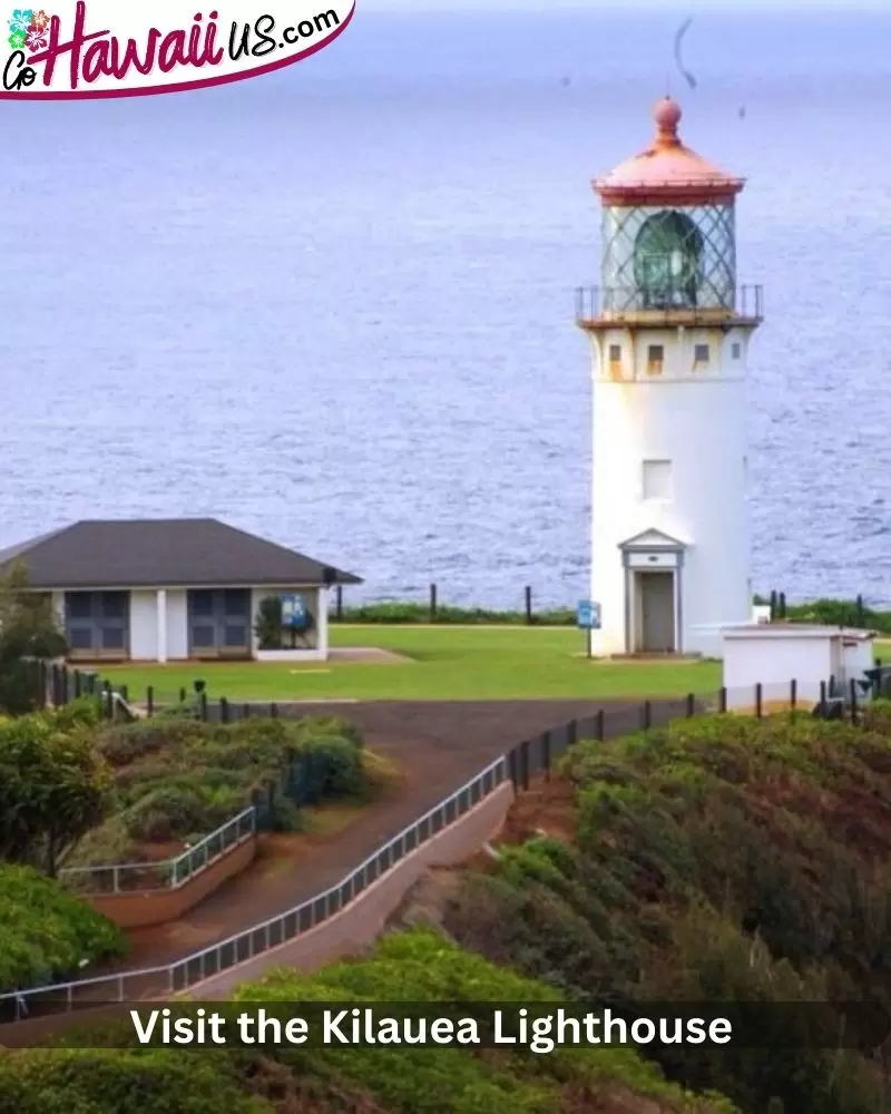  Visit the Kilauea Lighthouse