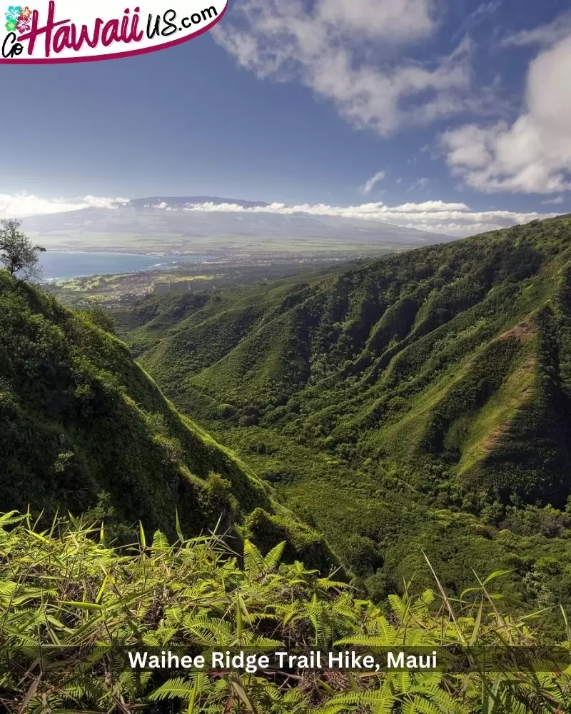 Waihee Ridge Trail Hike, Maui