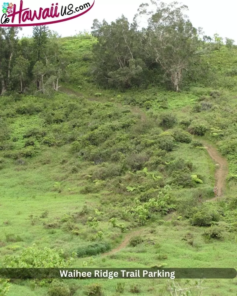 Waihee Ridge Trail Parking