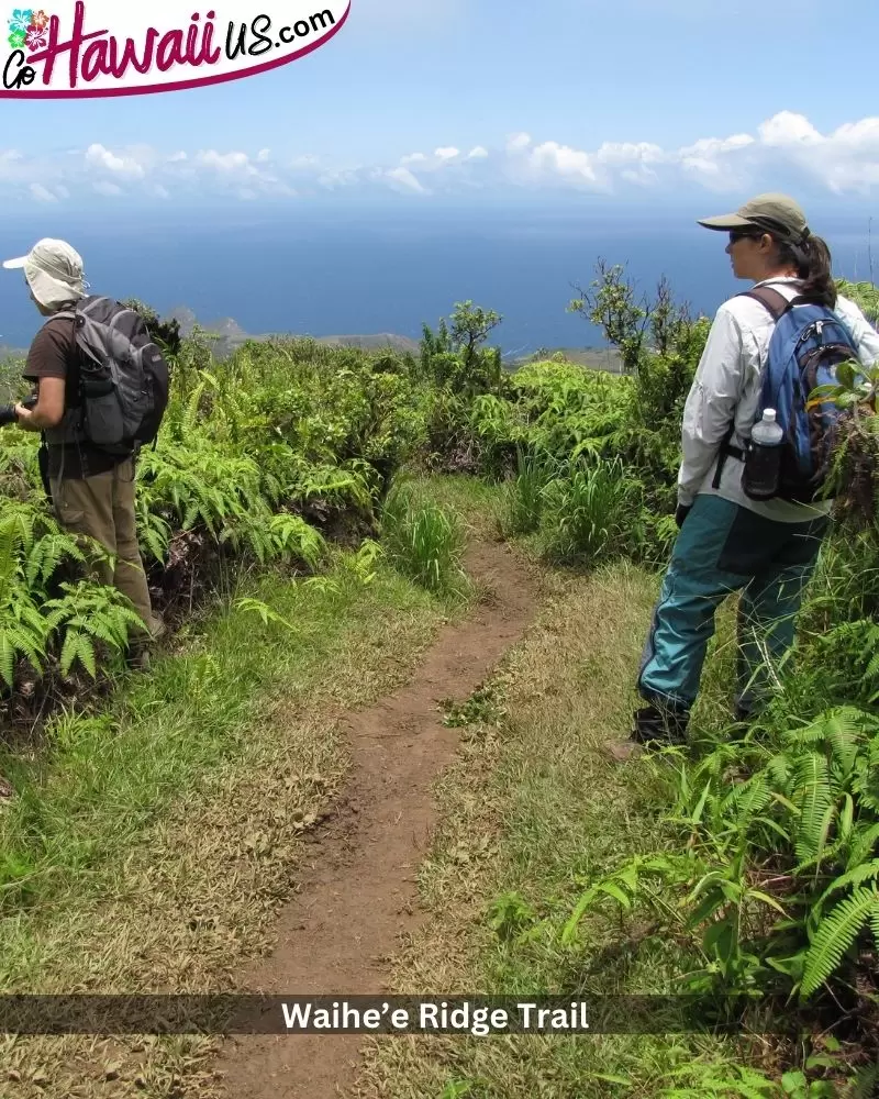 Waihe’e Ridge Trail