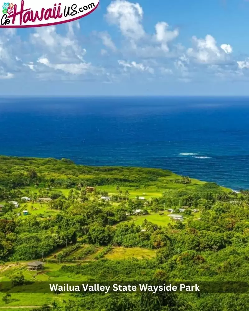 Wailua Valley State Wayside Park