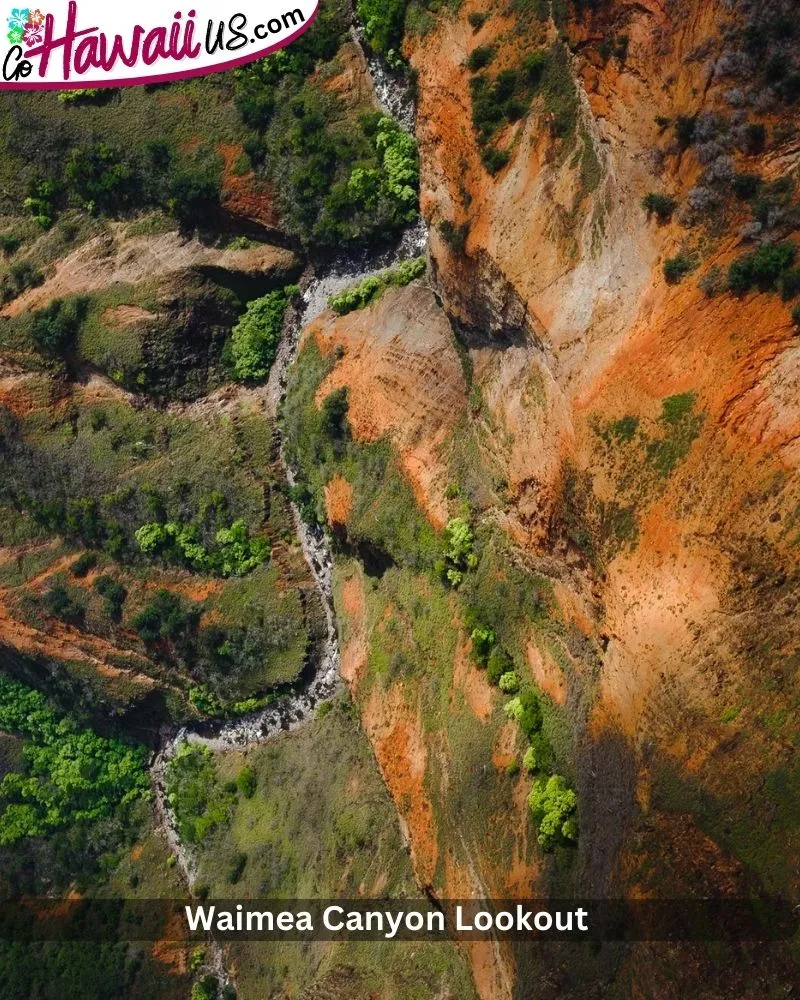  Waimea Canyon Lookout