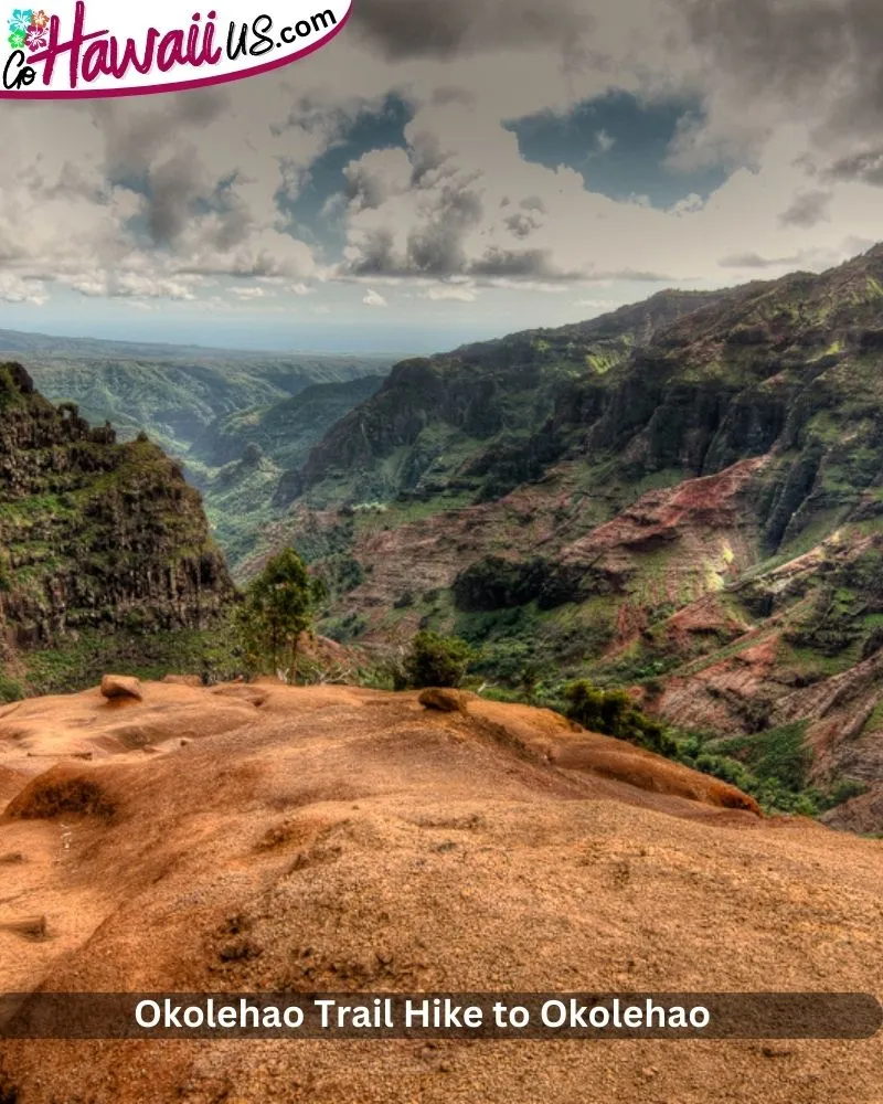 Waimea Canyon Trail to Waipo’o Falls