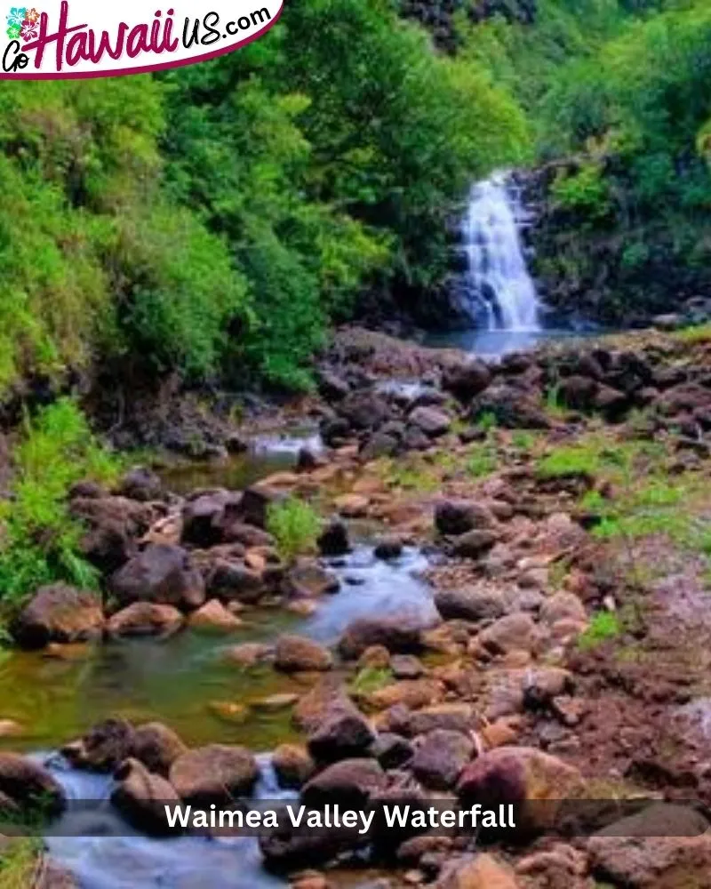 Waimea Valley Waterfall