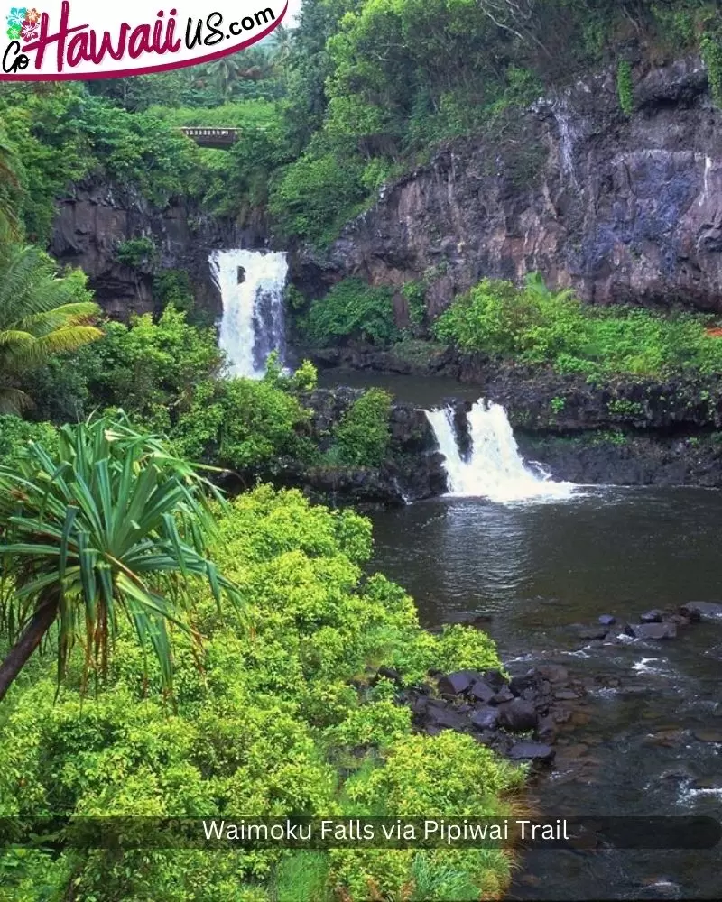 Waimoku Falls via Pipiwai Trail