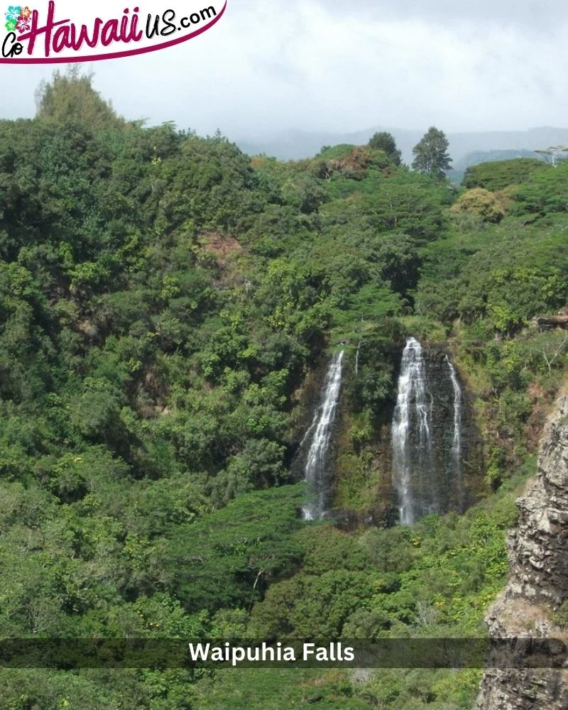 Waipuhia Falls