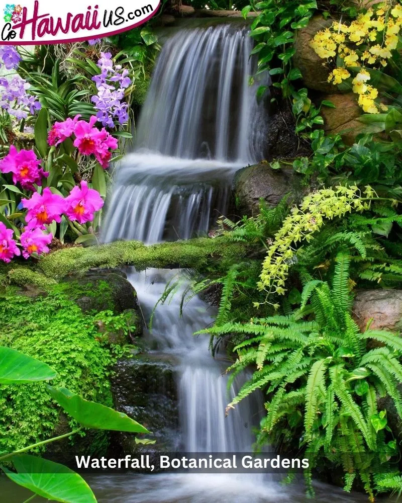 Waterfall, Botanical Gardens