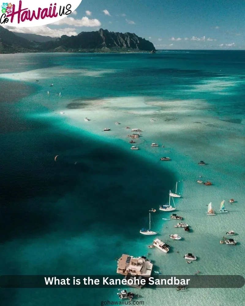 What is the Kaneohe Sandbar