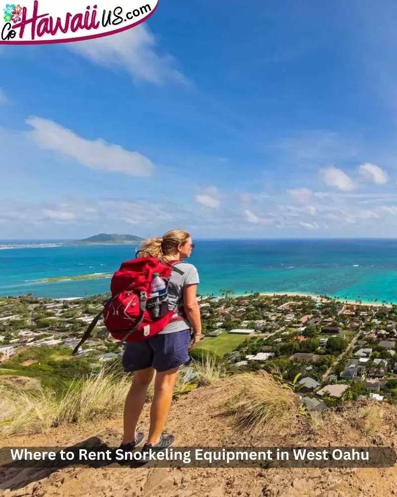 Where to Rent Snorkeling Equipment in West Oahu