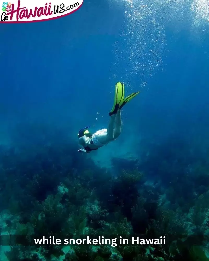 while-snorkeling-in-hawaii