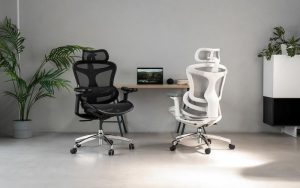 Conquer Your Long Work Sessions with the Sihoo Doro C300 Ergonomic Chair